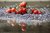 Rote Murmel Wildtomate
