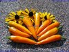 Bulgarian Carrot Chili Saatgut