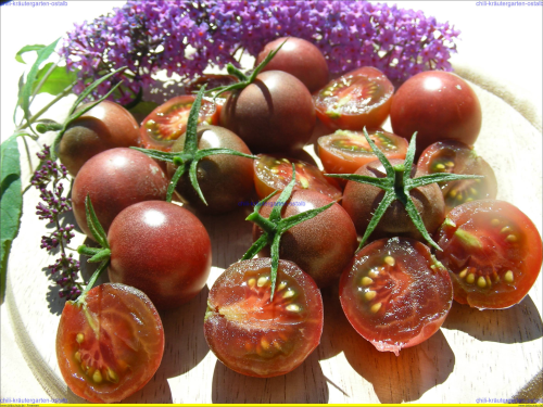 Russische Tomatensamen CHERRY BRAUNE 20 Samen,