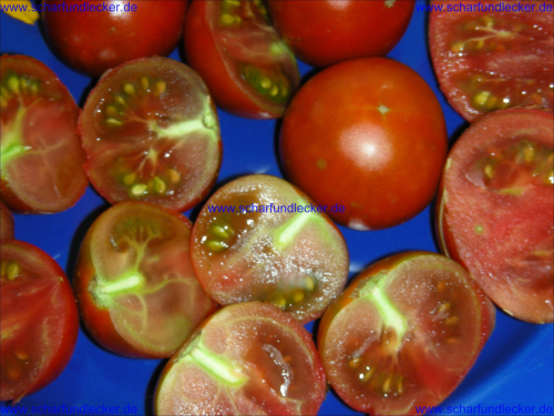 Stabtomate Schwarze Krim Tomaten Samen
