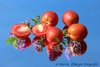 Pfirsichtomate   'Peche'  Tomatensamen Paradeiser