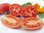 Rote Zora-  himbeerfarbene Tomate