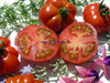 Togorific  Alte Sorten Erhaltersorte Tomatensamen