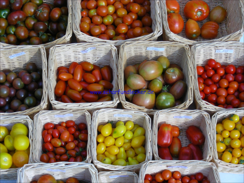 Auswahl 8 erlesener Tomatensorten
