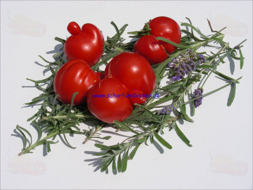 Busch - Tomate Rotkäppchen Tomatensamen