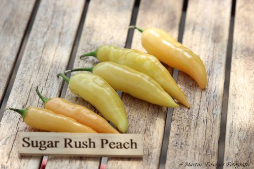 Sugar Rush Peach Chilisamen