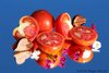 Ethel Watkins Best Fleischtomate Tomatensamen