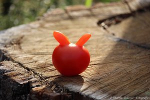 Laune der Natur - Tomate mit Ohren\\n\\n06.10.2017 18:45